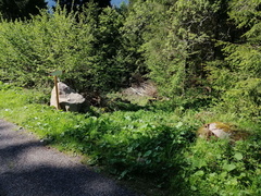 E728-ldp008-00-p02-210529-RD