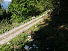 E728-ldp012-00-p02-210529-RD