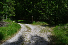 E729-ldp013-00-p2-160618