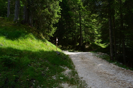 E729-015-00-p2-160618