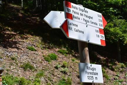 E729-ldp019-00-d1-160618