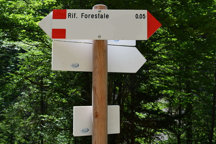 E729-ldp019-00-d2-160618