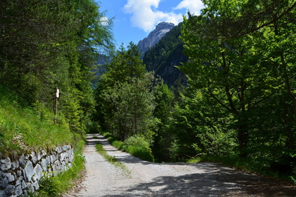 E729-ldp021-00-p2-160618