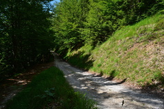 E729-ldp025-00-p1-160618