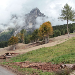 sentiero