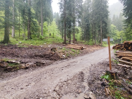 E733-ldp049-00-p01-250510-SD