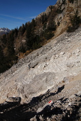 E734A-161115-td-7329