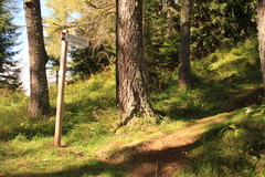 E734A-ldp-sopraForcColdeiCistri-p1