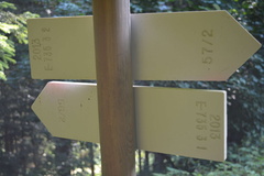 E735-ldp003-00-d2-160804-RF-0024