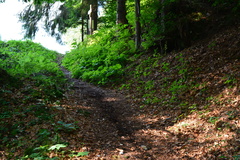 E735-ldp003-00-p1-160804-RF-0022