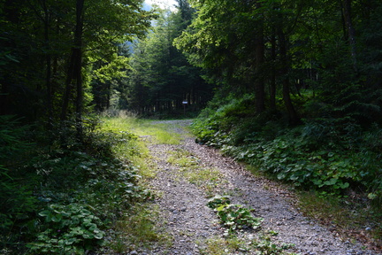 E735-ldp015-00-p1-160804-RF-0039