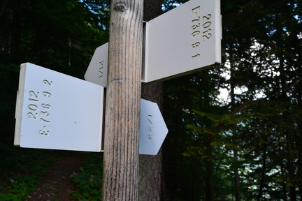 E736-ldp009-00-d2-160904-RF-0068