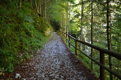 E736-160904-RF-0099
