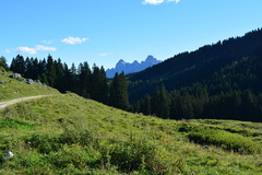E736-160904-RF-0157