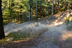 E738-ldp003-00-p1-161208-RF-0053