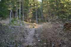 E738-ldp003-00-p2-161208-RF-0056