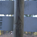 E738-ldp005-00-d2-161208-RF-0042