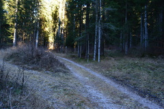 E738-ldp005-00-p1-161208-RF-0040