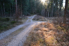 E738-ldp005-00-p2-161208-RF-0043