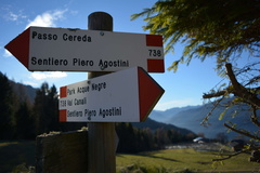 E738-ldp008-00-d1-161208-RF-0026