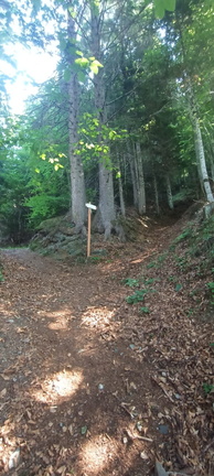 E743-ldp009-00-p02-250722-FE (13 visite) E743-ldp009-00-p02-250722-FE