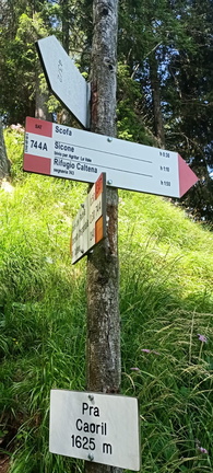 E744-ldp007-00-d02-250722-FE (10 visite) E744-ldp007-00-d02-250722-FE