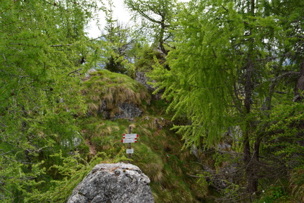 E744-ldp009-00-p2-160619