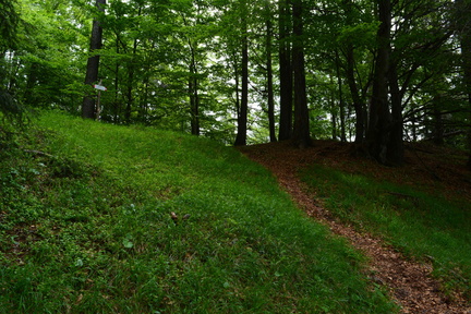 E744-ldp011-00-p1-160619