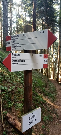 E744A-ldp001-00-d01-250722-FE