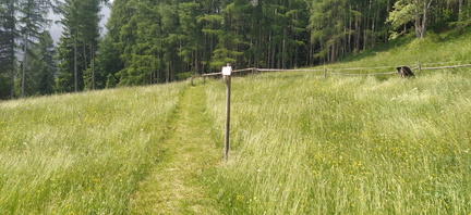 E745-ldp002-00-p02-250612-EF