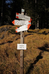 E747-ldp003-00-d1-161115-td-7343