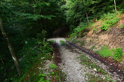 E748-ldp011-00-p2-RF-160802