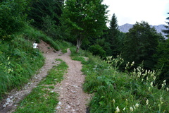 E748-ldp013-00-p1-RF-160802