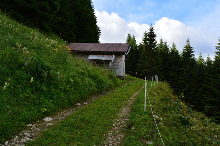 E748-ldp015-00-p1-RF-160802