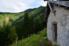 E748-ldp015-00-p2-RF-160802