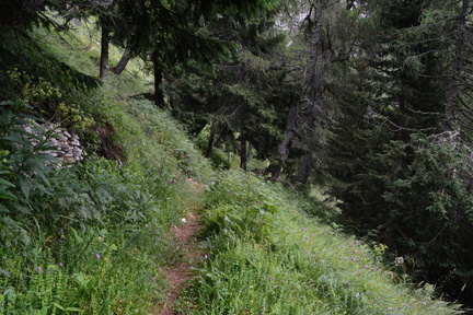 E748-ldp019-00-p1-RF-160802