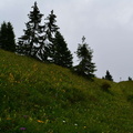 E748-ldp021-00-p1-RF-160802
