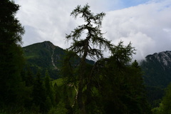 E748-RF-160802-0138
