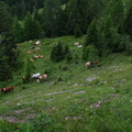 E748-RF-160802-0168