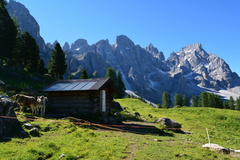 E749-170618-RF-0080