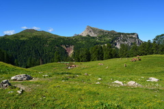 E749-170618-RF-0081