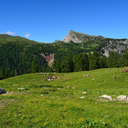 sentiero