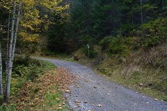 E801B-ldp001-00-rf-17112134