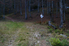 E801B-ldp002-00-rf-17112138