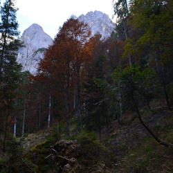 sentiero