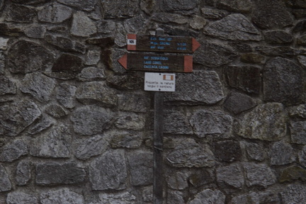 O105-ldp001-50-d01-pns