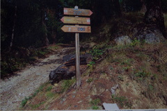 O105-ldp002-00-p01-pns