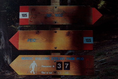 O105-ldp003-50-p01-pns6