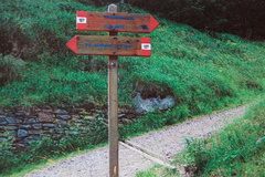 O105-ldp004-00-p01-pns2