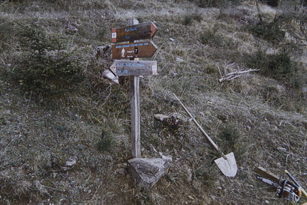 O105-ldp006-50-d01-pns7